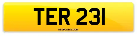TER 231