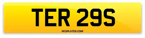 TER 29S