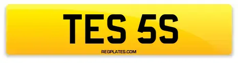 TES 5S