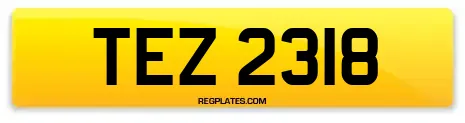 TEZ 2318