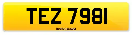 TEZ 7981