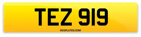 TEZ 919