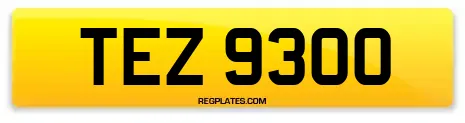 TEZ 9300