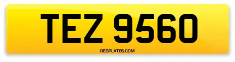 TEZ 9560