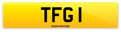 TFG 1