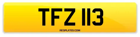 TFZ 113