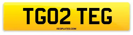 TG02 TEG
