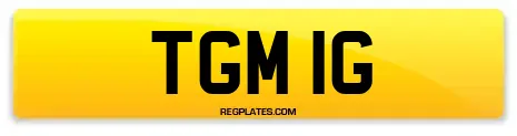 TGM 1G