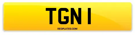 TGN 1