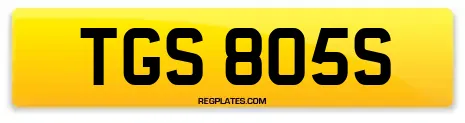 TGS 805S