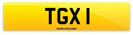 TGX 1