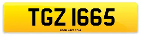 TGZ 1665
