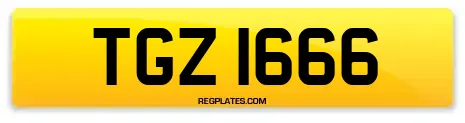 TGZ 1666