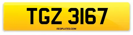 TGZ 3167