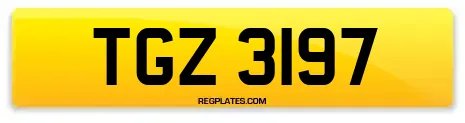 TGZ 3197