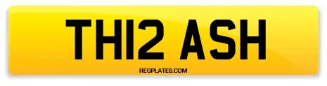 TH12 ASH