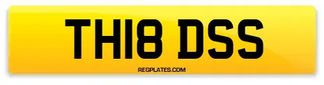 TH18 DSS