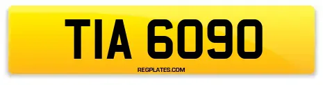 TIA 6090