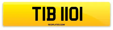 TIB 1101