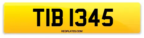 TIB 1345