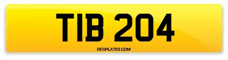 TIB 204