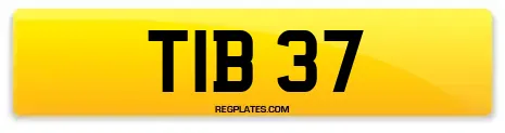 TIB 37