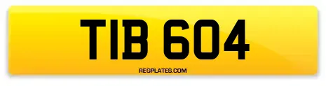 TIB 604