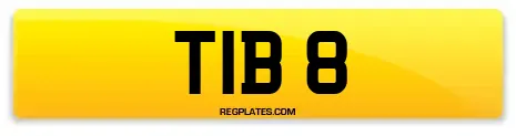 TIB 8