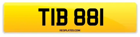 TIB 881