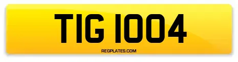 TIG 1004