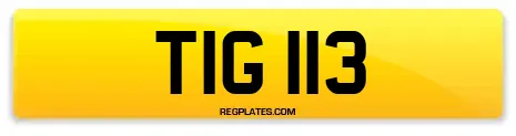 TIG 113