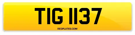 TIG 1137