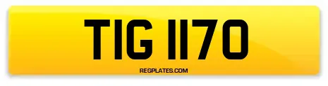TIG 1170