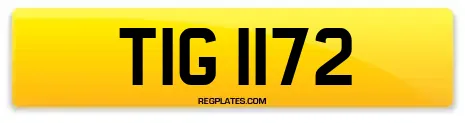 TIG 1172