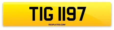 TIG 1197