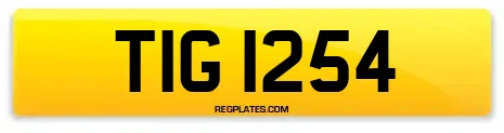 TIG 1254