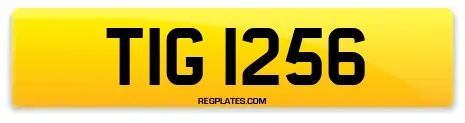 TIG 1256