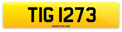 TIG 1273