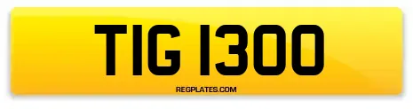 TIG 1300