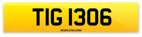 TIG 1306