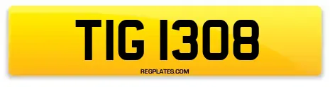 TIG 1308