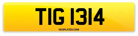 TIG 1314