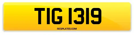 TIG 1319