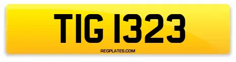 TIG 1323