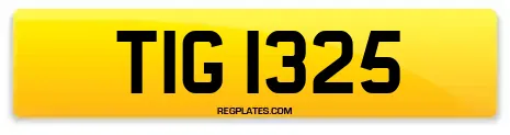 TIG 1325