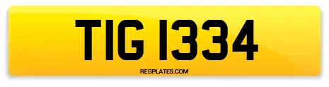 TIG 1334