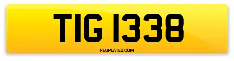 TIG 1338