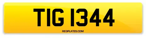 TIG 1344