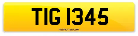 TIG 1345
