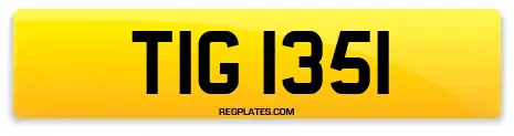 TIG 1351